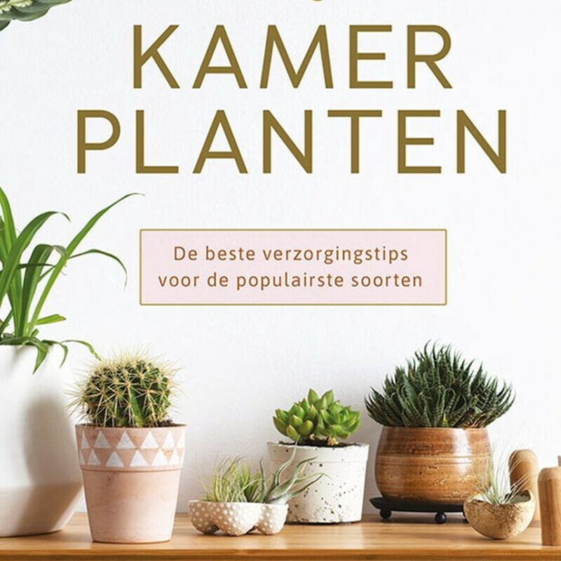 BASISGIDS KAMERPLANTEN